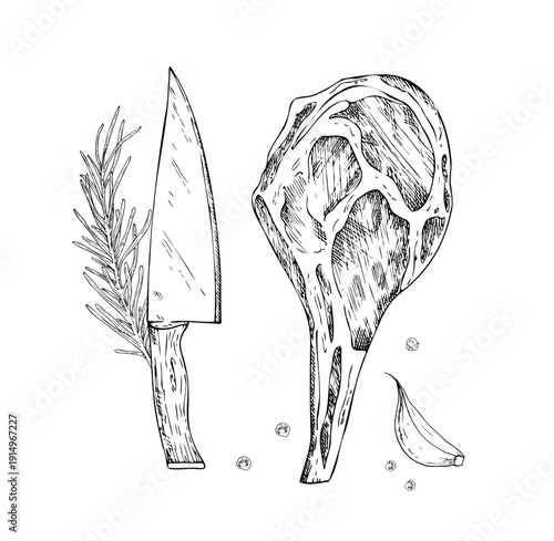 Vector Meat on the ribs with rosemary branch and peppercorns and garlic. Graphic ink knife, pork, ribeye, meet illustration, isolated on background. Hand drawn line sketch. For designers, prints, logo