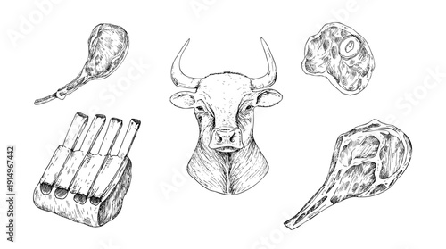 Vector Meat on the ribs. Graphic ink pork or beef illustration, isolated on background. Hand drawn line sketch. For designers, prints, logo, icon, menu, postcards, holiday, covers