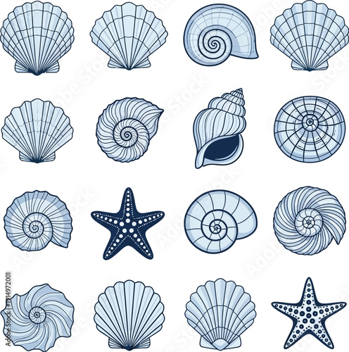 Collection of various blue seashells and starfish in different shapes and sizes, isolated on transparent background