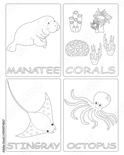 Black and white drawings for children's coloring. illustrations of sea creatures. image of manatee, corals, stingray, octopus. vector graphics for kids education.