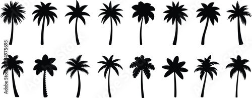 Palm trees silhouettes vector collection tropical coconut summer beach nature black icons set illustration isolated design