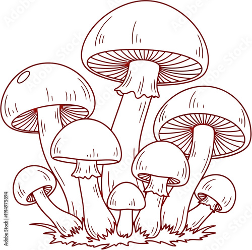 A captivating cluster of various mushrooms in a detailed outline, showcasing the diverse shapes and sizes of these fascinating fungi