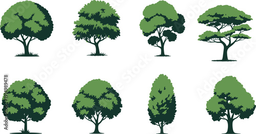 Green leafy trees illustration collection nature forest botanical summer landscape vector isolated