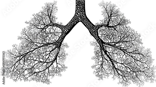 A black and white anatomical illustration of the human lungs with the intricate network of airways