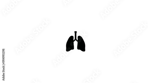 A black silhouette of lungs centered on a white background, representing human anatomy