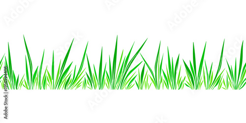 Green grass seamless border Graphic meadow pattern