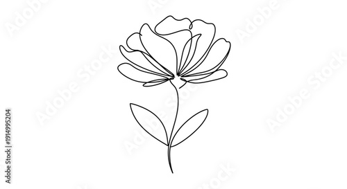 An elegant, continuous line art single flower drawing illustrated on a clean white background.