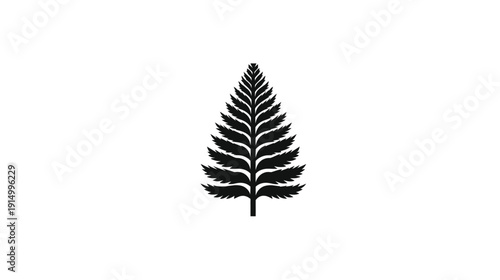 A simple, black fern silhouette on a clean white background. Nature-inspired, botanical graphic