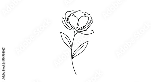 Elegant single flower drawing shown in continuous black line art style on a clean white background.
