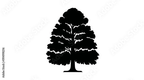 A silhouette of a broad tree with a dense canopy, black against a white background