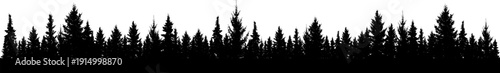Forest fir trees silhouette. Coniferous spruce trees. Park of evergreen wood. Vector illustration. (Every tree isolated, separate from each other, free-standing)