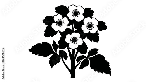A black and white illustration of flowers and leaves on a stem, appearing botanical