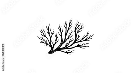 A stark black illustration of a branch structure with numerous thin, sharp offshoots