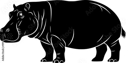   Cartoon Hippo Illustration - Wild Animal Vector Character