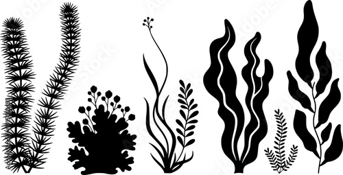 Underwater Botanical Flora Silhouette - Ocean Floor Seaweed and Aquatic Plants Vector