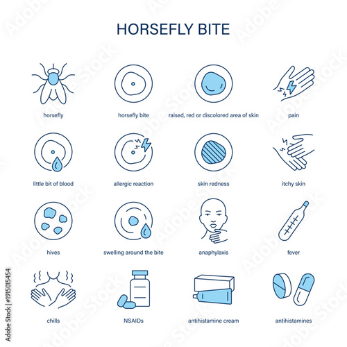 Horsefly Bite symptoms, diagnostic and treatment vector icon set