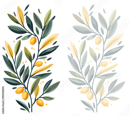 Olive Branch with Golden Olives Isolated on Transparent Background, Modern Mediterranean Botanical PNG