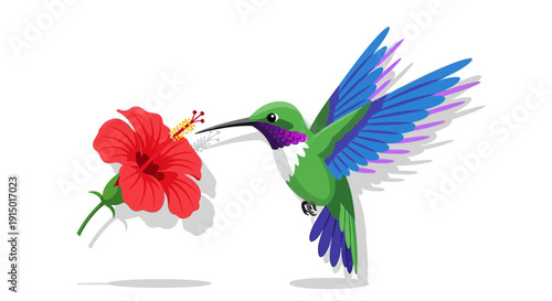 Vibrant hummingbird sipping nectar from a red hibiscus flower symbolizing nature s delicate beauty and renewal