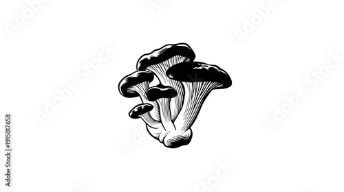 A cluster of stylized oyster mushrooms in black and white, against a white background