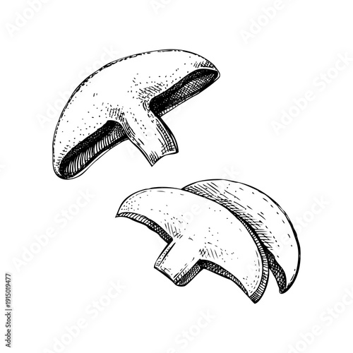 Portobello mushrooms hand drawn vector illustrations set. Culinary fungi sketches for restaurant menu design or vegetarian food labels. NOT AI generated