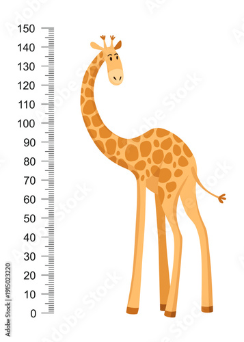 Funny giraffe. Cheerful funny giraffe with long neck. Giraffe meter wall or height chart or wall sticker. Illustration with scale from 0 to 150 centimeter to measure growth