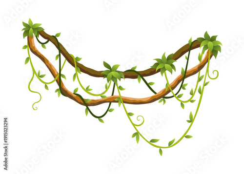Liana branch. Twisted wild jungle vine plants. Woody natural tropical rainforest, exotic botany element. Vector design element