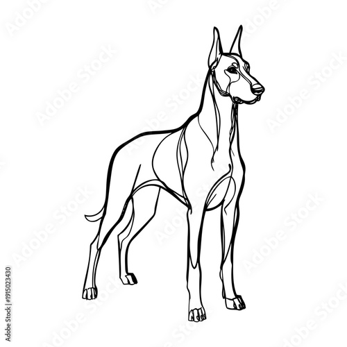Dibujo con línea continua de un perro dóberman 