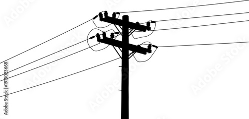 Standard utility pole with four power lines silhouette
