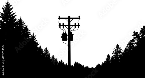 Utility pole with transformer silhouette framed by pine tree forest