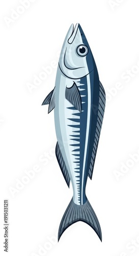 Illustration of a Single Sardine Fish 1.