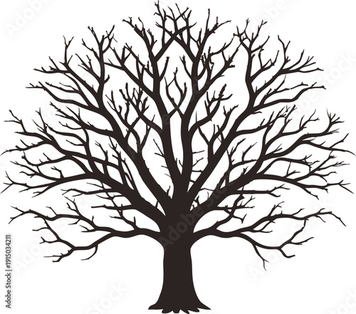 A detailed illustration of a tree with intricate branches and a sturdy trunk. isolated on white background, Vector