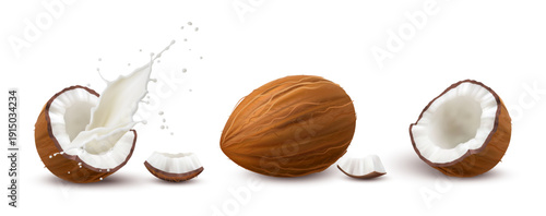 Splashing coconut milk and nut with shell and flesh. Vector in realistic style, organic natural product, tropical fruit. Vegetarian ingredient for meals, aromatic material for cosmetology