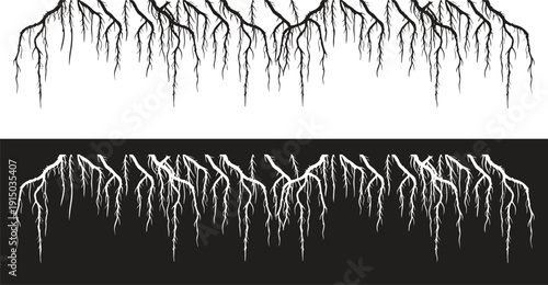 Tree root silhouettes forming natural border design. Detailed branching roots in black and white contrast. Perfect organic frame element for ecology, nature, and environmental themes.