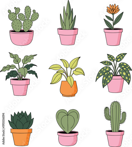 Hand drawn potted houseplants collection with cactus succulents and tropical indoor plants vector illustration set