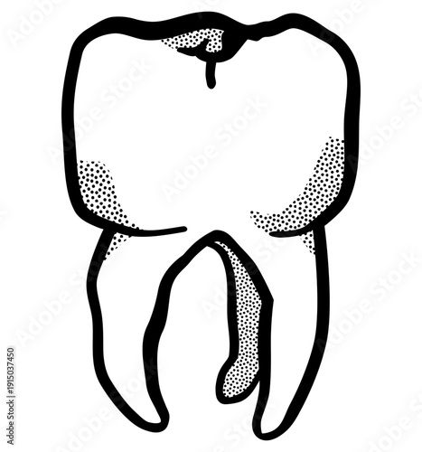tooth icon