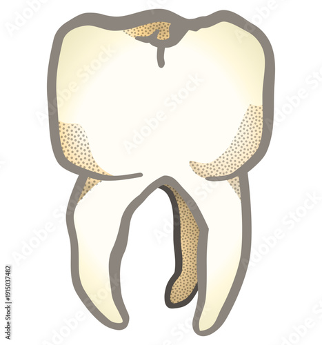 tooth icon