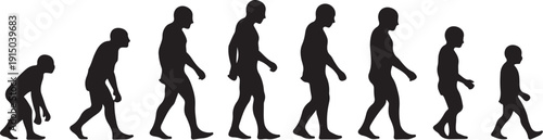 Evolution of Human Silhouettes from Primate to Modern Man