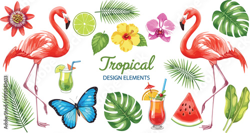 Tropical Design Elements Vector Set with Flamingo, Palm Leaves, Exotic Flowers, Butterfly, Watermelon, and Summer Cocktail Illustrations