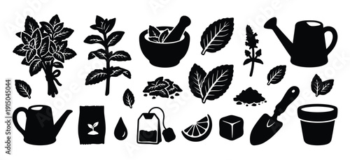 Herbal tea and gardening icons set with mint leaves mortar pestle and watering can vector