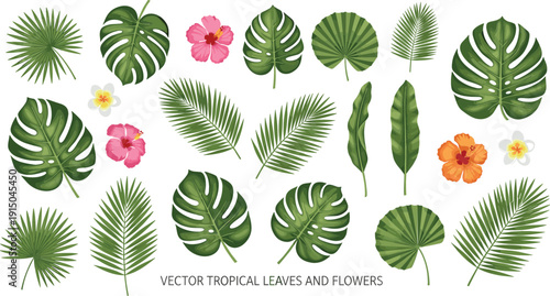 Tropical Leaves and Flowers Vector Set with Monstera, Palm Fronds, Hibiscus Blossoms, and Exotic Botanical Elements for Summer Design