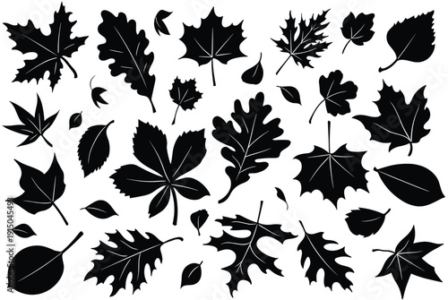 Large collection of autumn leaf silhouettes representing various tree species for decoration