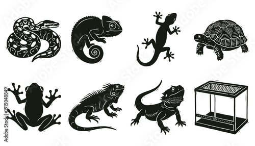 Exotic Pet Silhouettes Reptile and Amphibian Woodcut Style Vector Collection