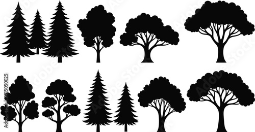Collection of black tree silhouettes including pine spruce and deciduous varieties for nature landscape design forest elements isolated on a plain white background set (24 words)