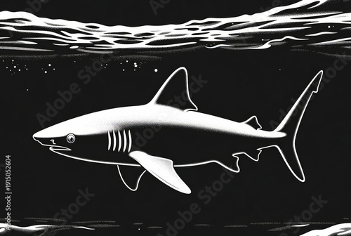 Detailed illustration of a great shark swimming in the ocean showing its features.