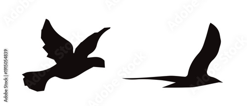 Bird silhouettes in flying and perched poses, isolated black avian figures. Flying birds silhouettes scattered in sky isolated black avian figures on white background, vector illustration.