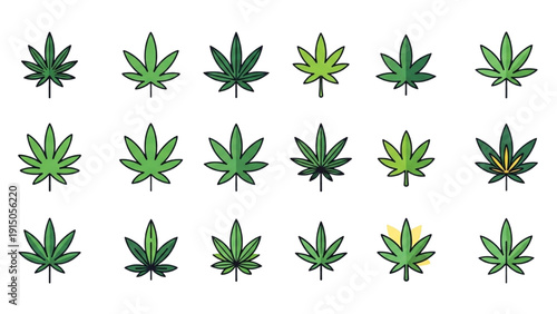 Collection of various cannabis leaves displayed in a grid pattern on a plain white background from a direct viewpoint