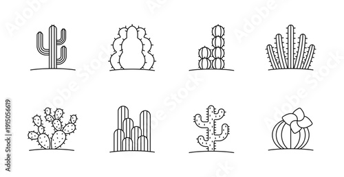 Cactus set icon. Cactus types, succulent, desert, flora, spikes, wild, nature, dry, tropical, landscape, arid, green, botany, garden, thorn, plant