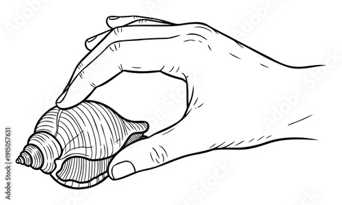 A monochrome line drawing depicting a human hand gently holding a textured spiral seashell, ideal for use in oceanography learning tools, summer holiday advertisements, or serene coastal