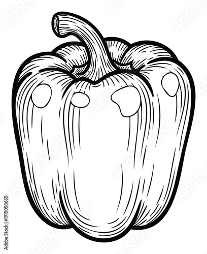 Stylized handdrawn bell pepper graphic in a vintage woodcut style, perfect for organic food branding, healthy recipe publications, or rustic culinary themed projects.
