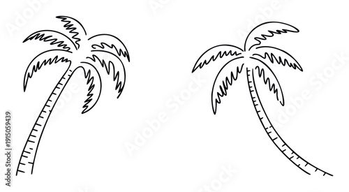 Two hand drawn palm tree outlines perfect for summer vacation tropical getaway themes, resort marketing, or beach holiday promotions